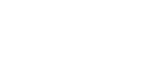 The Last of Us Part II